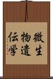 微生物遺伝学 Scroll