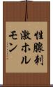 性腺刺激ホルモン Scroll