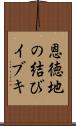 恩徳地の結びイブキ Scroll