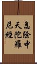 息除中夭陀羅尼經 Scroll