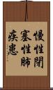 慢性閉塞性肺疾患 Scroll