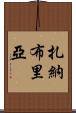 Zanabria Scroll
