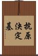 抗原決定基 Scroll