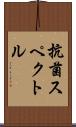 抗菌スペクトル Scroll