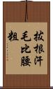 拔根汗毛比腰粗 Scroll