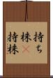 持ち株(P) Scroll