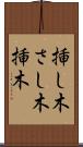 挿し木 Scroll