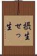 摂生 Scroll