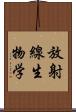 放射線生物学 Scroll