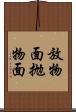放物面 Scroll