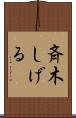 斉木しげる Scroll