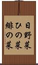 日野菜 Scroll