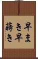 早まき Scroll