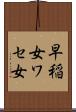 早稲女 Scroll