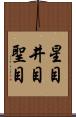 星目 Scroll
