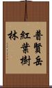 普賢岳紅葉樹林 Scroll