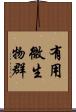 有用微生物群 Scroll