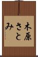 木原さとみ Scroll