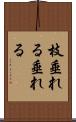 枝垂れる Scroll