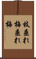 枝垂れ梅 Scroll