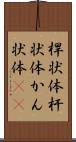 桿状体 Scroll