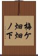 梅ケ畑畑ノ下 Scroll