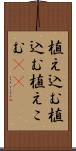 植え込む Scroll