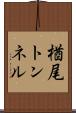 楢尾トンネル Scroll