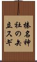 榛名神社の矢立スギ Scroll