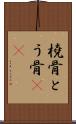 橈骨 Scroll