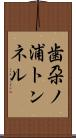 歯朶ノ浦トンネル Scroll