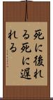 死に後れる Scroll