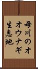 母川のオオウナギ生息地 Scroll