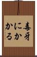 毒牙にかかる Scroll