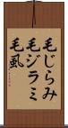 毛じらみ Scroll