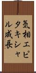 気相エピタキシャル成長 Scroll
