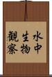水中生物観察 Scroll