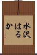 水沢はるか Scroll