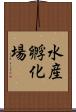 水産孵化場 Scroll