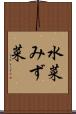 水菜 Scroll