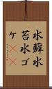 水蘚 Scroll