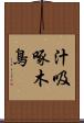 汁吸啄木鳥 Scroll