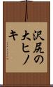 沢尻の大ヒノキ Scroll