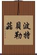 波特貝勒菇 Scroll