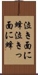 泣き面に蜂;泣きっ面に蜂 Scroll