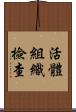 活體組織檢查 Scroll