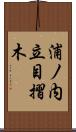 浦ノ内立目摺木 Scroll