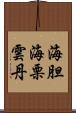 海胆 Scroll
