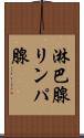 淋巴腺 Scroll