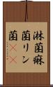 淋菌 Scroll